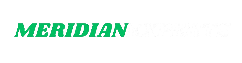 MeridianExperts Logo